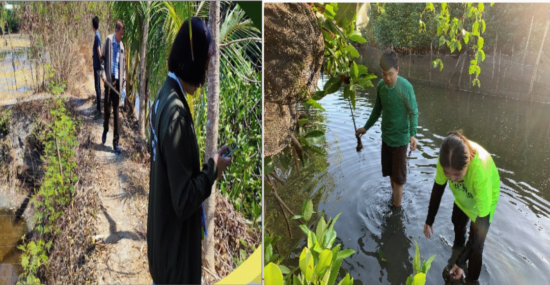 Mangrove Rehabilitation and Conservation Projects