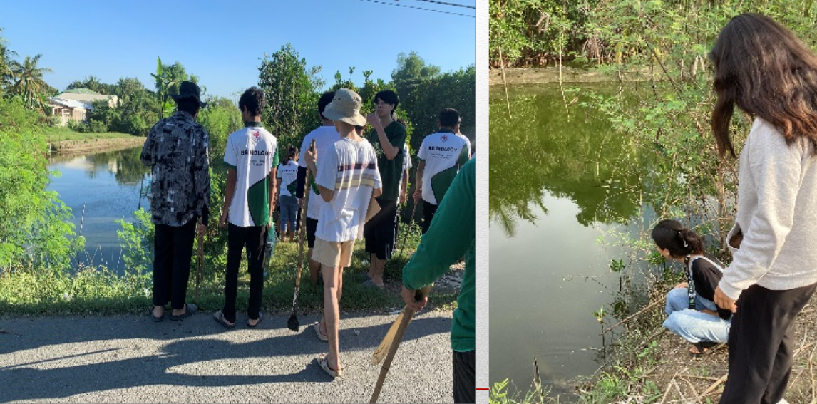 Screenshot 2025-11-30 112129