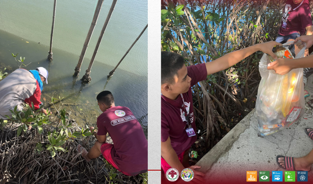 Screenshot 2025-11-30 114905